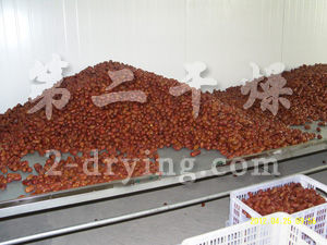 紅棗多層鋼帶式干燥機(jī)
