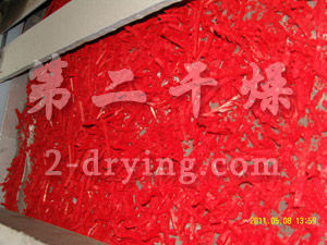 顏料單層帶式干燥