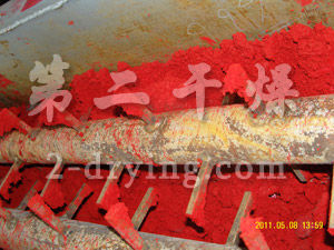 顏料單層帶式干燥