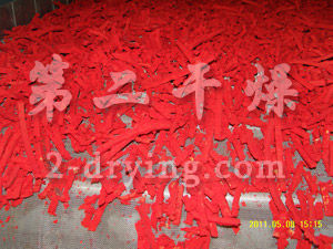 顏料單層帶式干燥