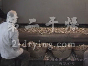 魔芋專用帶式干燥機